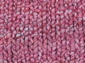 Patons 100g "Gigante" Wool & Acrylic Yarn