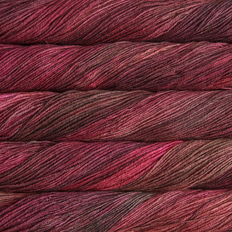 Malabrigo 100g "Arroyo" 8-Ply Merino Wool Yarn