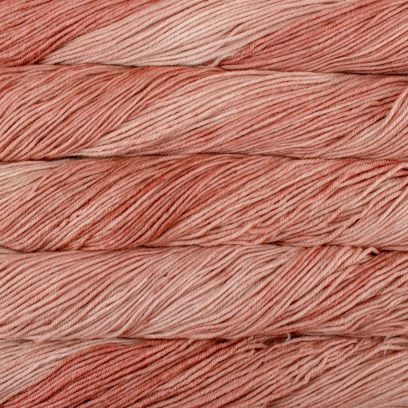 Malabrigo 100g "Arroyo" 8-Ply Merino Wool Yarn