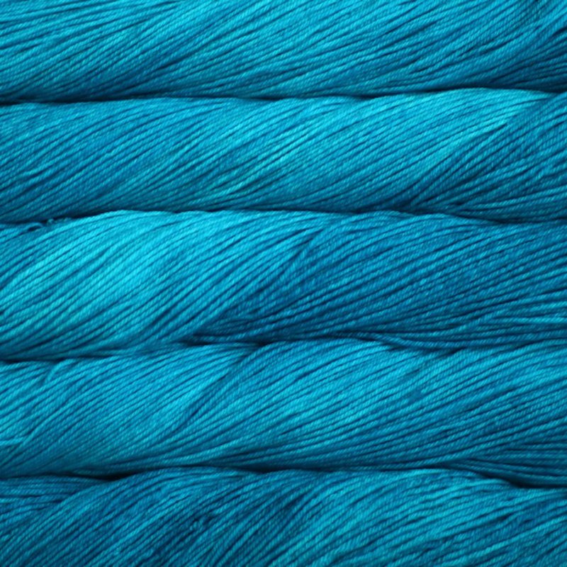 Malabrigo 100g "Arroyo" 8-Ply Merino Wool Yarn