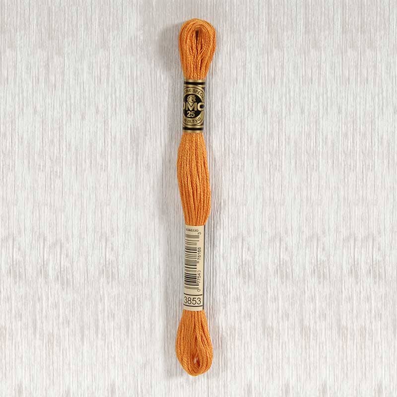 DMC Stranded Cotton Embroidery Thread (Shades #3820 - #3866)