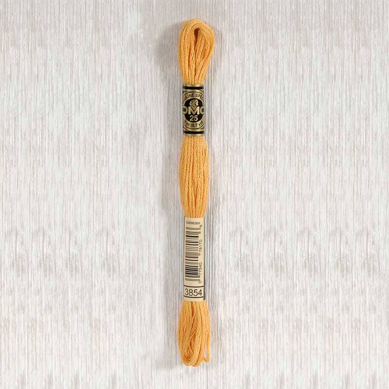 DMC Stranded Cotton Embroidery Thread (Shades #3820 - #3866)