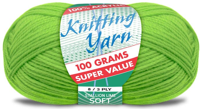 Everyday Super Value 100g Acrylic 8-Ply Knitting Yarn - Solids
