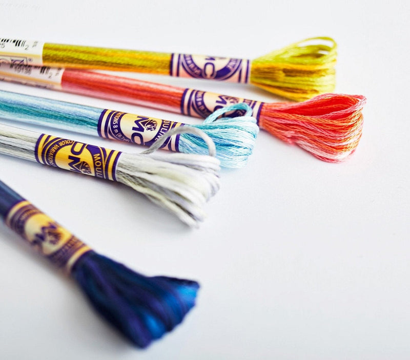DMC Colour Variations Emroidery Thread